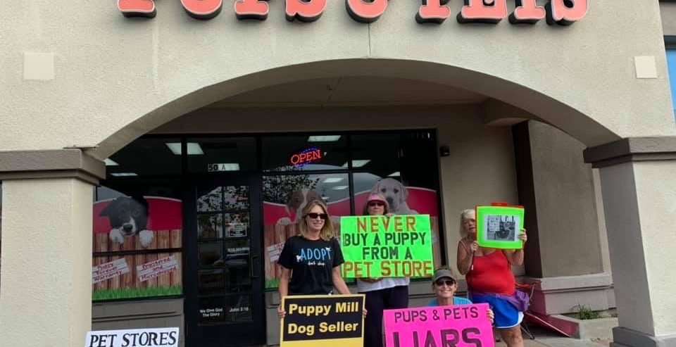 local animal activists protest outside Pups & Pets