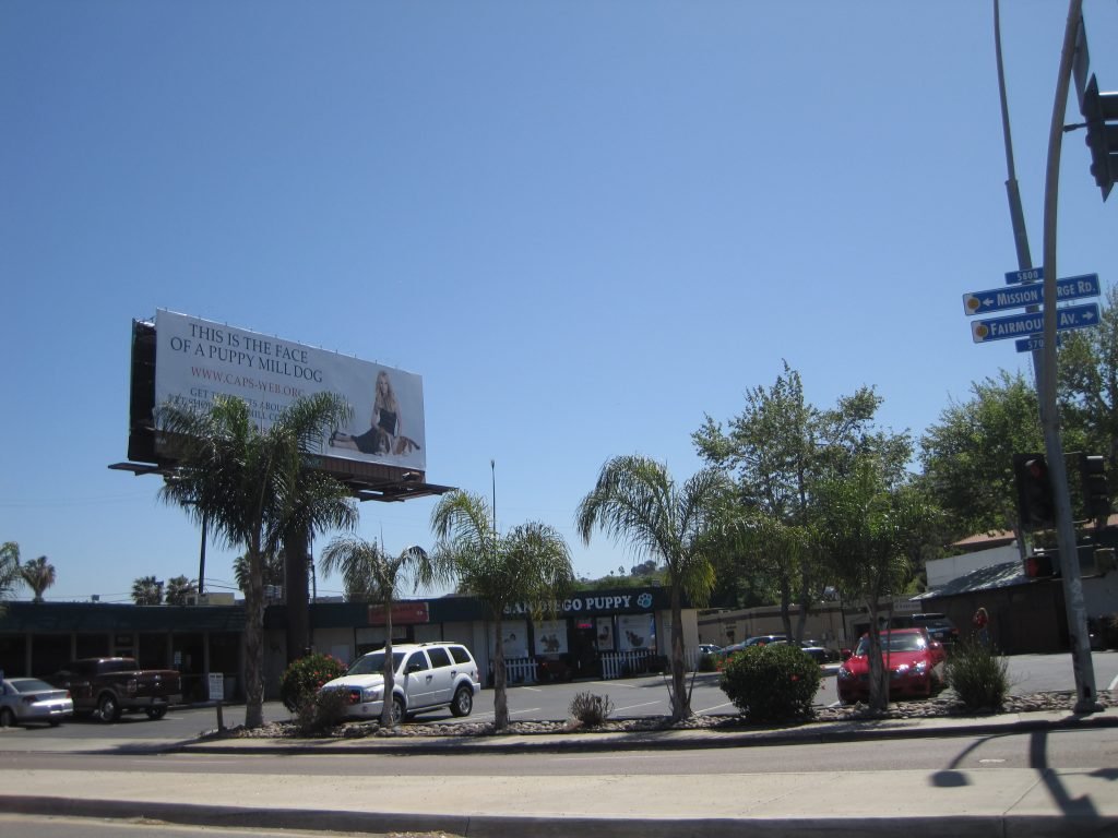 Billboard saying This is the Face of a Puppy Mill Dog above San Diego Puppy pet shop.