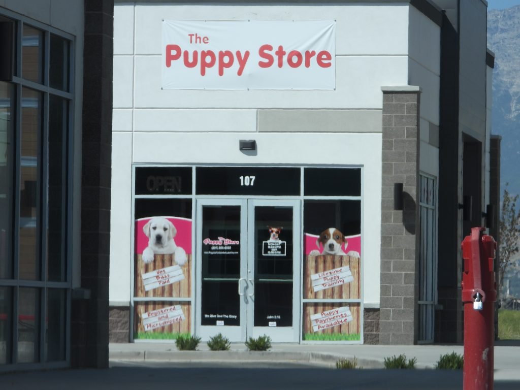 puppy store vineyard