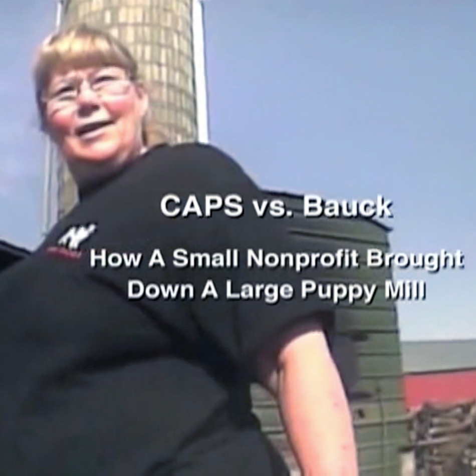 Seeing is Believing: Why Videos are so Critical to CAPS’ Success ...